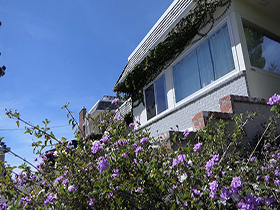 貪り合う黒百合の花園 黒人美少女レズビアンたちの香しき濡れ小陰唇 サンプル動画サムネイル